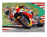 Dani Pedrosa painting