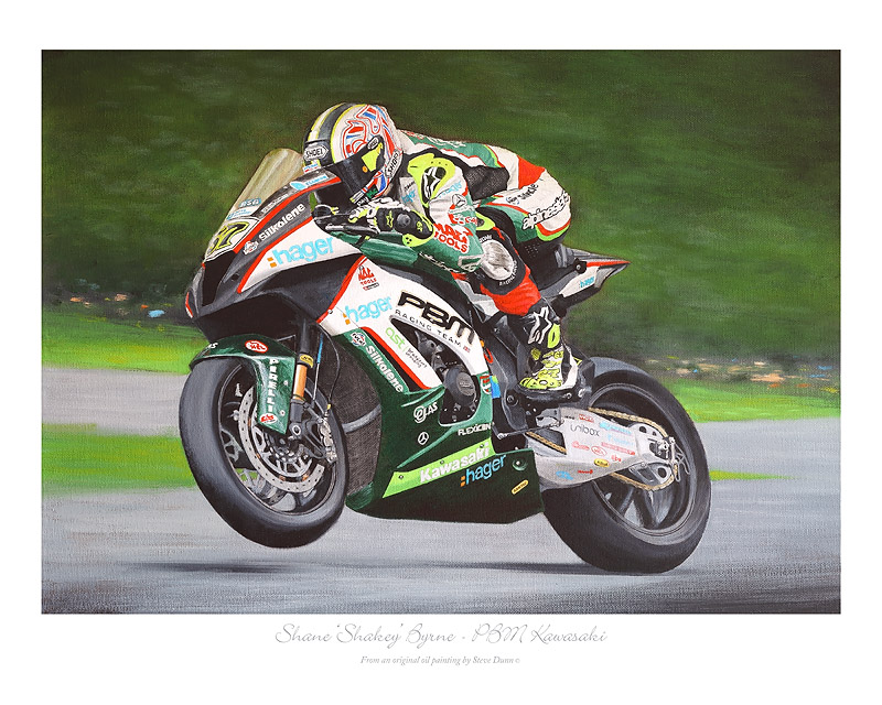 Shane 'Shakey' Byrne PBM Kawasaki 2015 art print