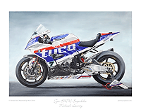 Tyco BMW Laverty painting